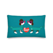 Load image into Gallery viewer, Premium Pillow LOVE DIVERSITY LGBTQ 2  20x12